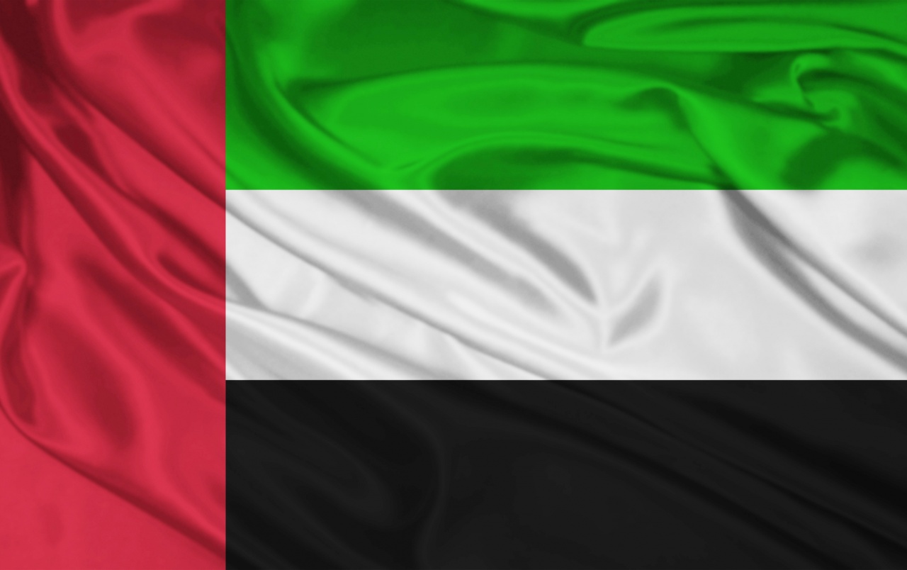 Instalación de vpn de los Emiratos Árabes Unidos